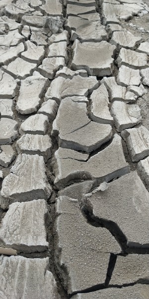 fotka20220425_130638