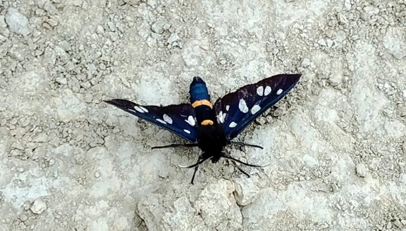 fotka20220425_130815-2