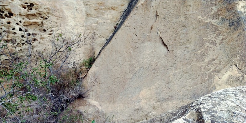 fotka20220425_145348