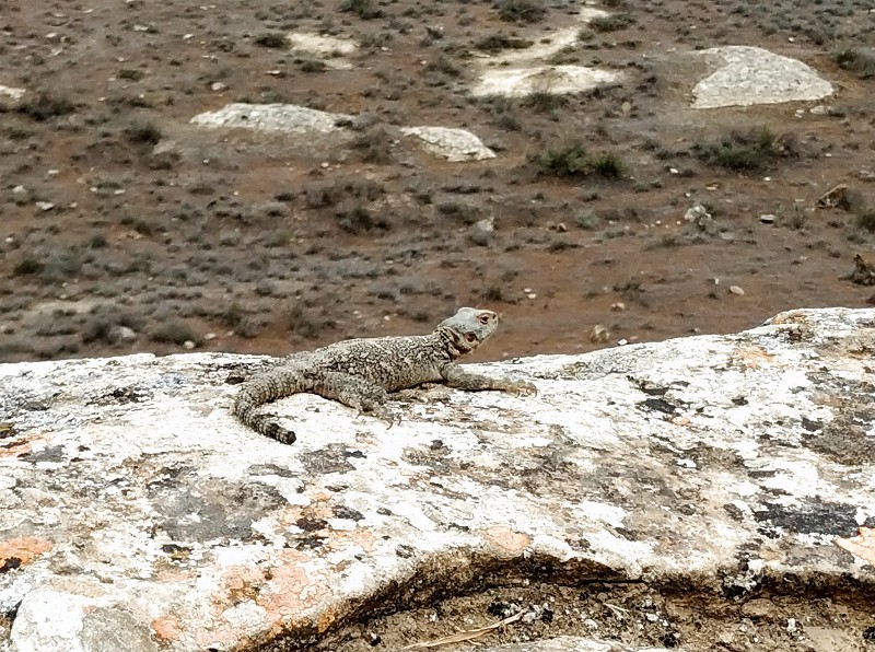 fotka20220425_145723