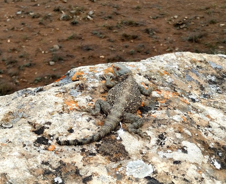 fotka20220425_145810