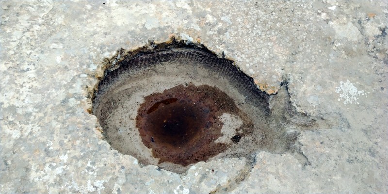 fotka20220425_150237