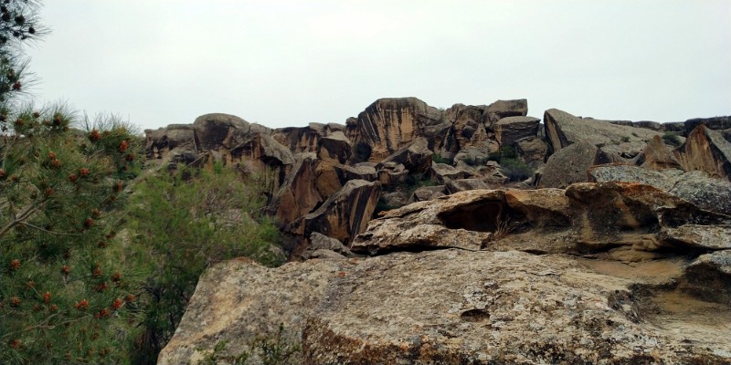 fotka20220425_150959