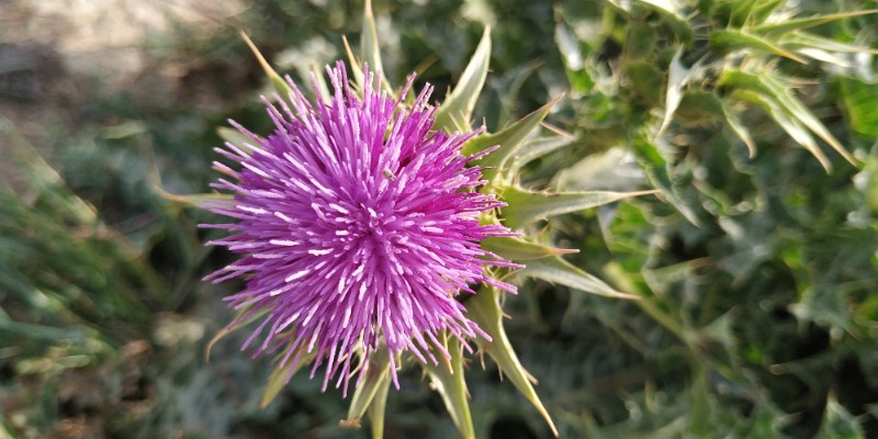 fotka20220425_172030