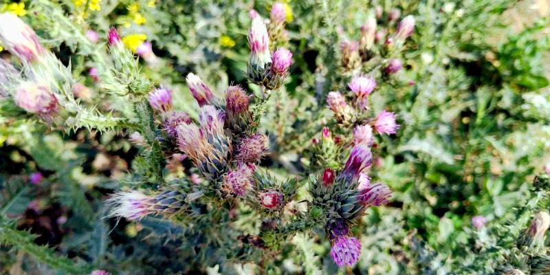 fotka20220425_172117