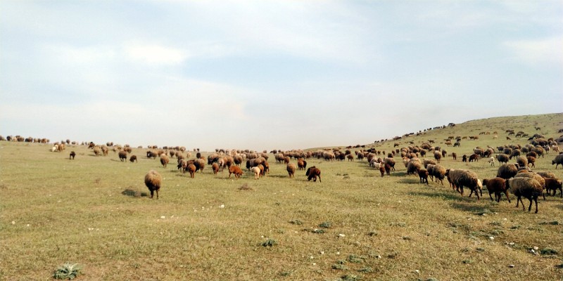 fotka20220425_172738