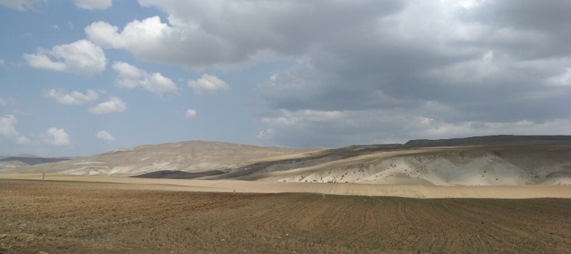 IMG_20220429_114514-2