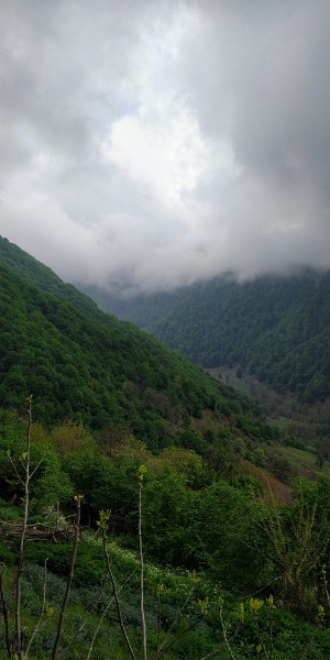 IMG_20220430_152016-2