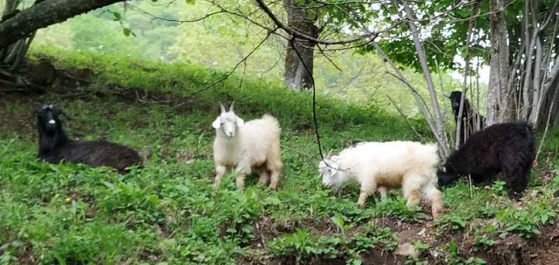 IMG_20220430_154653-3