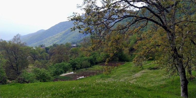 IMG_20220430_154909-2