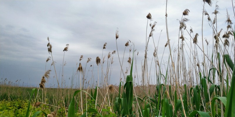 IMG_20220502_110604-2