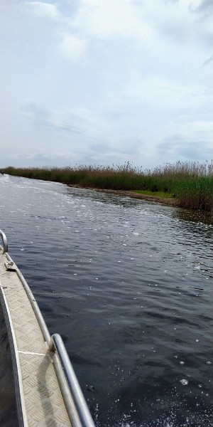 IMG_20220502_111600-2