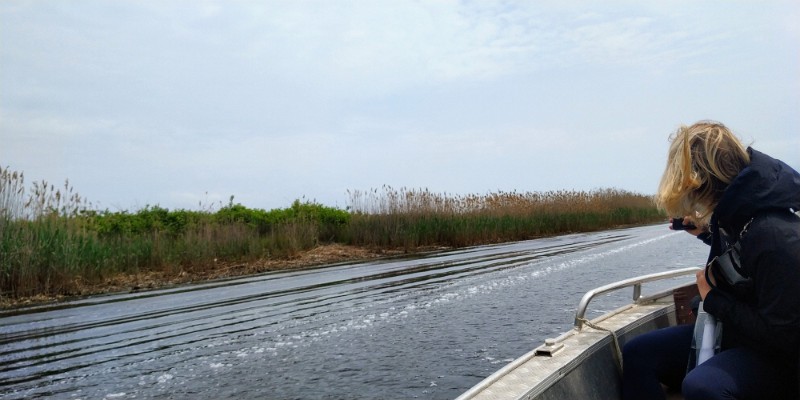 IMG_20220502_111619-2