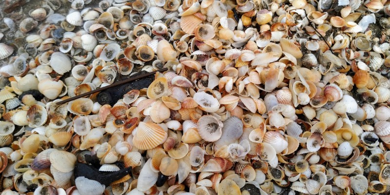 IMG_20220502_125858-2