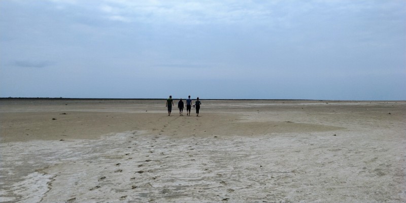 IMG_20220502_131157-2