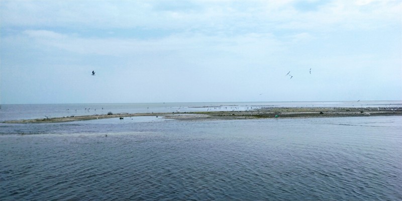 IMG_20220502_142331-2