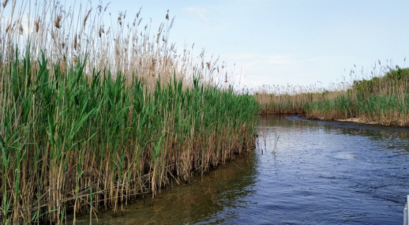 IMG_20220502_144530-3