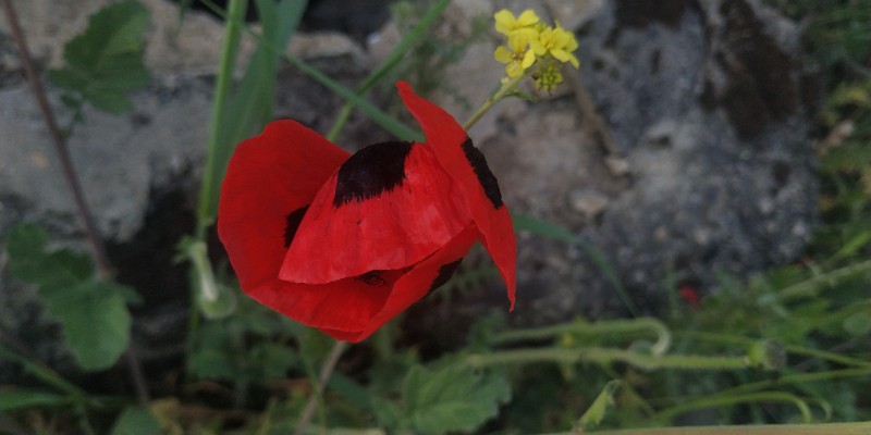 fotka20220427_181948_0